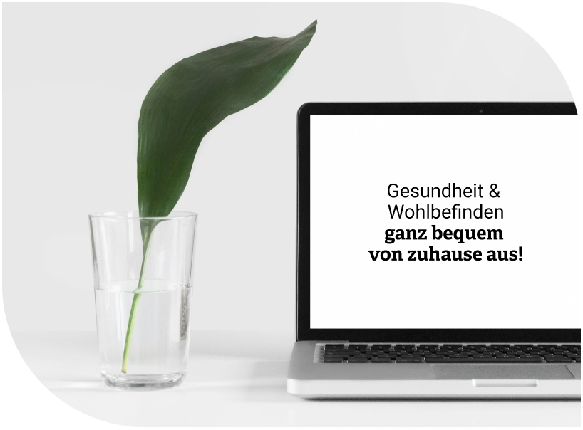 MAIWALD Webshop Teaser